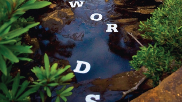 SWF09_620x349