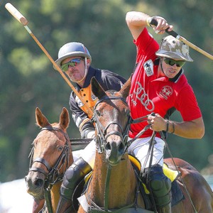 Paspaley Polo in the City