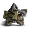 Doggy Bow-Tie