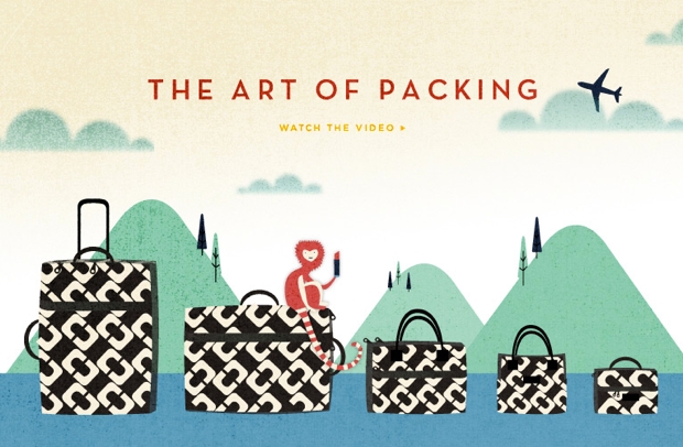 DVF landing_luggage_620