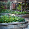 The Grounds Gardens