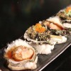 paperplanes oysters