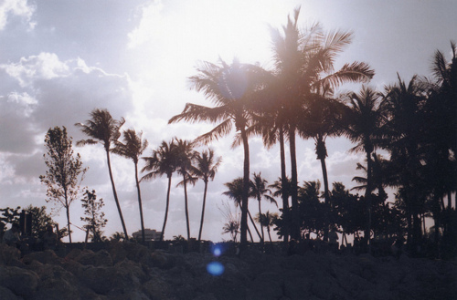 summer dreaming