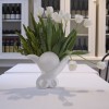 Tulip Shadow_LR