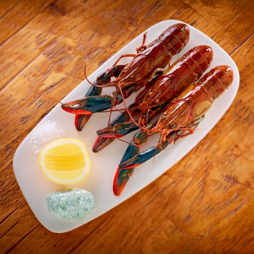 Grain_Red Claw yabbies