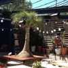 New Hot beer garden