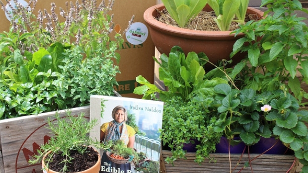 Urban Gardenista