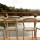 The Swimmers Club The Swimmers Club