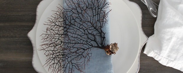#caption5 The Wedding Nest
