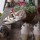 Bared Footwear Bared Footwear