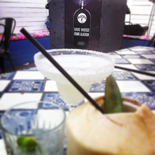 10 Best Tequila Bars in Sydney Daily Addict