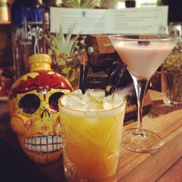 10 Best Tequila Bars in Sydney Daily Addict